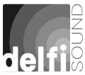 DelfiSound logo.png