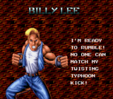 Battletoads-Double Dragon, Characters, Billy Lee.png