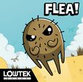 Flea DC Flea! - Cover Web.jpg