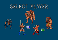 Golden Axe III MD, VS Mode, Character Select.png