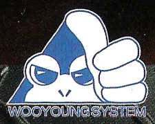 WooyoungSystem logo.png