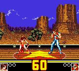 Fatal Fury Special GG, Stages, Terry Bogard.png