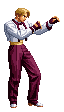 King of Fighters 98 DC, Sprites, King.gif