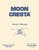 MoonCresta Arcade US Manual.pdf