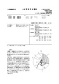 Patent JP2007066282A.pdf