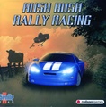Rush Rush Rally Racing (World) (Unl) Manual.pdf