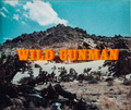 Wild Gunman title.png