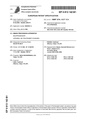 Patent EP0813142B1.pdf