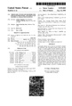 Patent US5935003.pdf