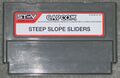 SteepSlopeSliders STV Cart.jpg