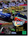 NASCARArcade Hikaru US Flyer.pdf