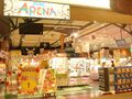 Sega Arena Morioka Minami 1.jpg