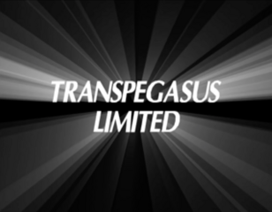 Transpegasus Limited logo.png