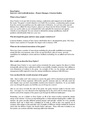UbiSoftDigitalPressKit99 DeepFighter Interview DF.pdf