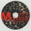 MotorRaidWaterSki CD JP Disc.jpg