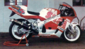 TeamSegaSuzuki Racing 1996 2.png