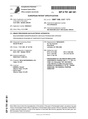 Patent EP0751481B1.pdf
