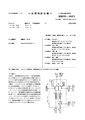 Patent JPA 1996160972.pdf