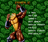 Battletoads-Double Dragon, Characters, Pimple.png