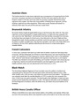 Napoleon concept arts descriptions.pdf