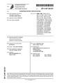 Patent EP0447043B1.pdf