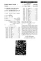 Patent US6010405.pdf