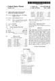 Patent US6527640.pdf